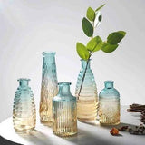 Embossed glass transparent vase tabletop decoration