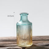 Embossed glass transparent vase tabletop decoration